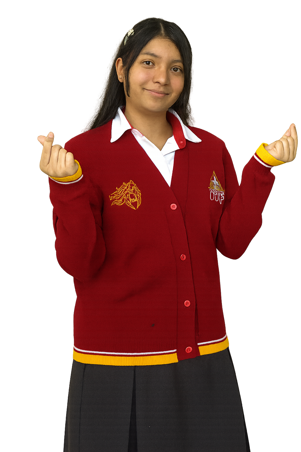 Alumno secundaria